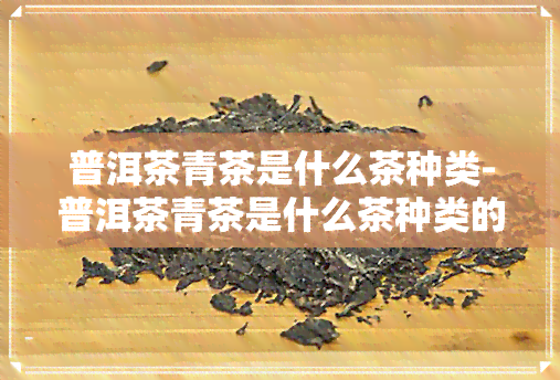 普洱茶青茶是什么茶种类-普洱茶青茶是什么茶种类的