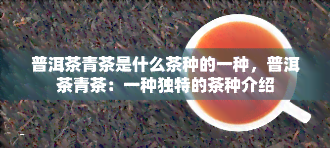 普洱茶青茶是什么茶种的一种，普洱茶青茶：一种独特的茶种介绍