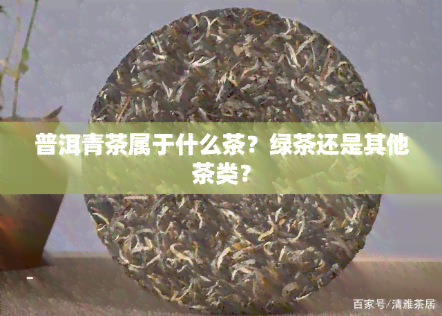 普洱青茶属于什么茶？绿茶还是其他茶类？