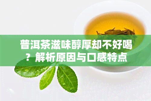 普洱茶滋味醇厚却不好喝？解析原因与口感特点