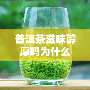 普洱茶滋味醇厚吗为什么这么贵，探究普洱茶的醇厚口感与高价背后的原因