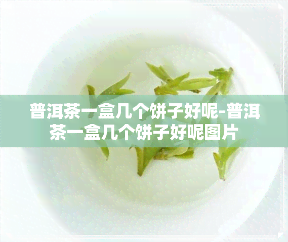 普洱茶一盒几个饼子好呢-普洱茶一盒几个饼子好呢图片