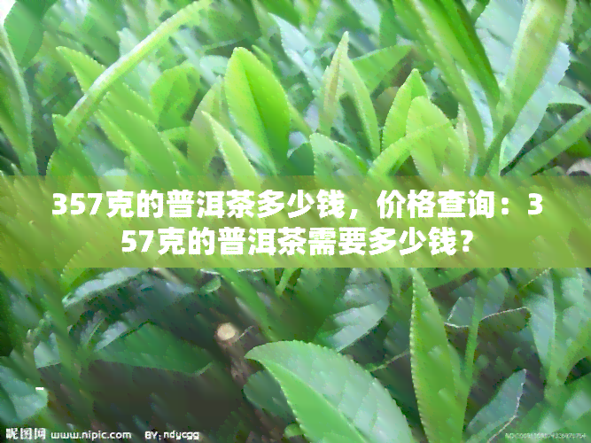 357克的普洱茶多少钱，价格查询：357克的普洱茶需要多少钱？