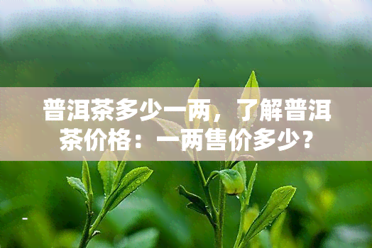 普洱茶多少一两，了解普洱茶价格：一两售价多少？