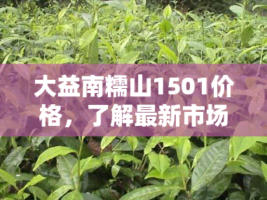 大益南糯山1501价格，了解最新市场动态：大益南糯山1501普洱茶价格一览