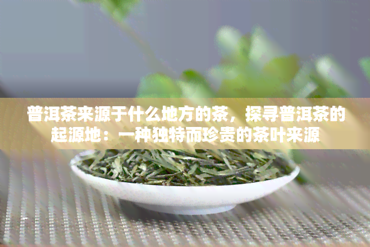 普洱茶来源于什么地方的茶，探寻普洱茶的起源地：一种独特而珍贵的茶叶来源