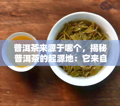 普洱茶来源于哪个，揭秘普洱茶的起源地：它来自哪个？