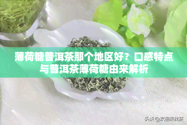 薄荷糖普洱茶那个地区好？口感特点与普洱茶薄荷糖由来解析