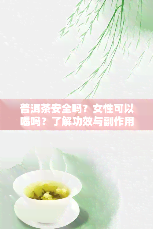 普洱茶安全吗？女性可以喝吗？了解功效与副作用