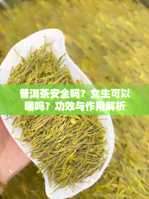 普洱茶安全吗？女生可以喝吗？功效与作用解析