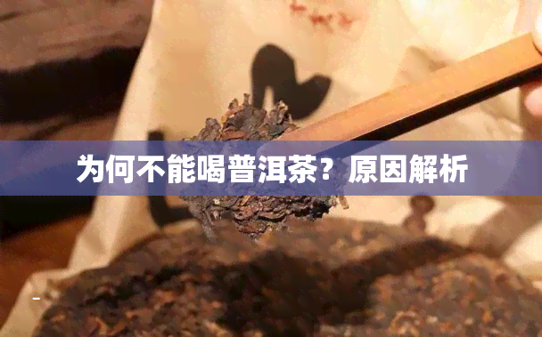 为何不能喝普洱茶？原因解析