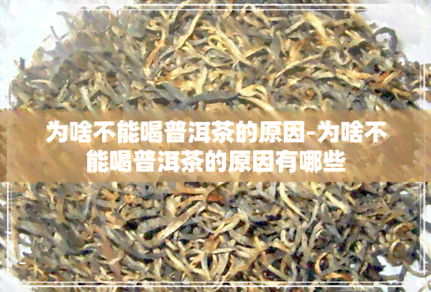 为啥不能喝普洱茶的原因-为啥不能喝普洱茶的原因有哪些