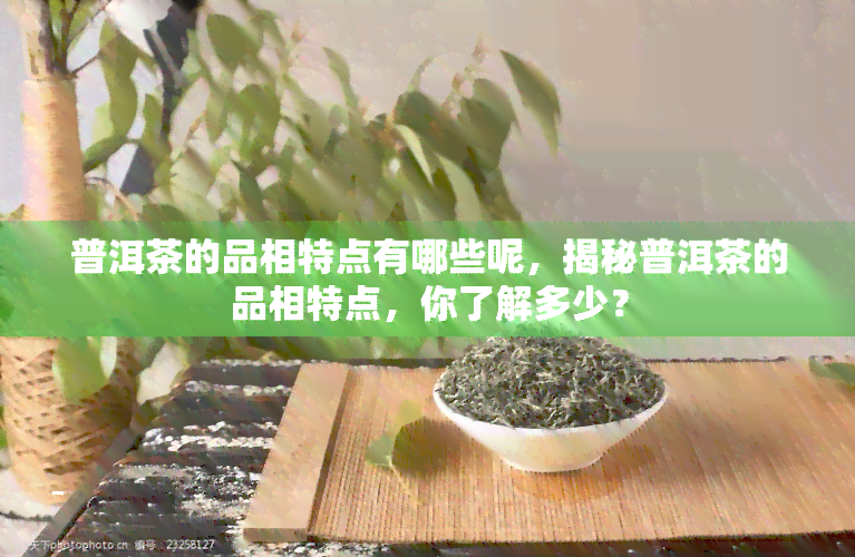 普洱茶的品相特点有哪些呢，揭秘普洱茶的品相特点，你了解多少？