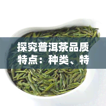 探究普洱茶品质特点：种类、特征与识别方法