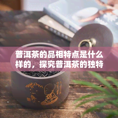 普洱茶的品相特点是什么样的，探究普洱茶的独特品相特点