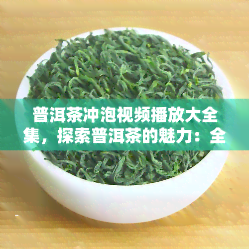 普洱茶冲泡视频播放大全集，探索普洱茶的魅力：全集冲泡视频教程