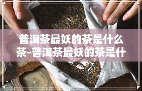 普洱茶最妖的茶是什么茶-普洱茶最妖的茶是什么茶叶