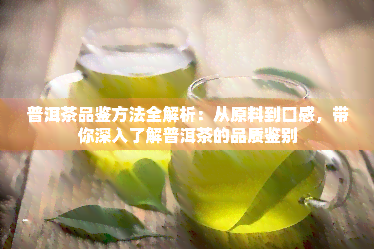 普洱茶品鉴方法全解析：从原料到口感，带你深入了解普洱茶的品质鉴别