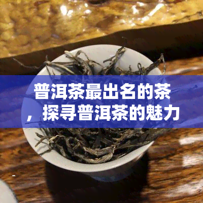 普洱茶最出名的茶，探寻普洱茶的魅力：揭秘最出名的茶叶品种