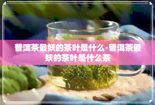 普洱茶最妖的茶叶是什么-普洱茶最妖的茶叶是什么茶