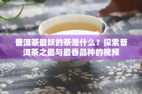 普洱茶最妖的茶是什么？探索普洱茶之最与最香品种的视频