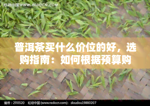 普洱茶买什么价位的好，选购指南：如何根据预算购买合适的普洱茶？