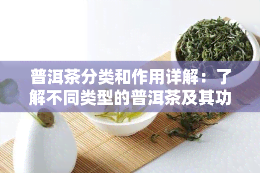 普洱茶分类和作用详解：了解不同类型的普洱茶及其功效