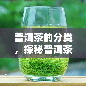 普洱茶的分类，探秘普洱茶的世界：详解其种类和特点