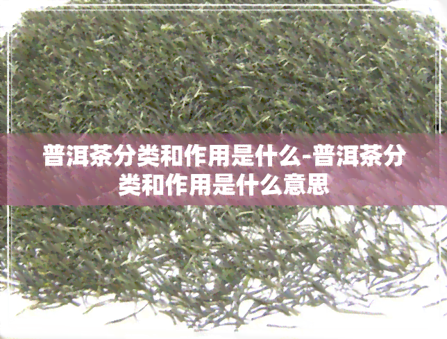 普洱茶分类和作用是什么-普洱茶分类和作用是什么意思