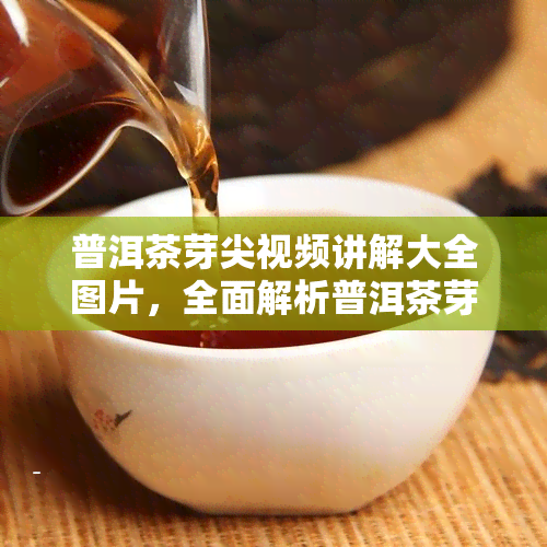 普洱茶芽尖视频讲解大全图片，全面解析普洱茶芽尖：视频讲解与高清图片大公开！