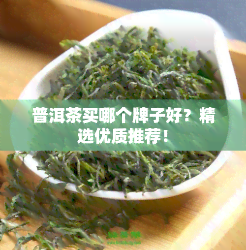 普洱茶买哪个牌子好？精选优质推荐！