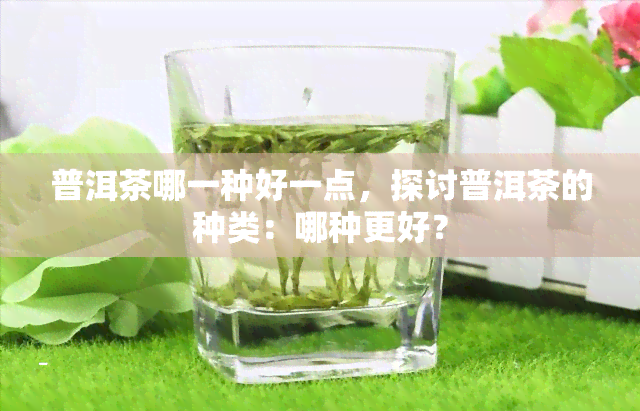 普洱茶哪一种好一点，探讨普洱茶的种类：哪种更好？