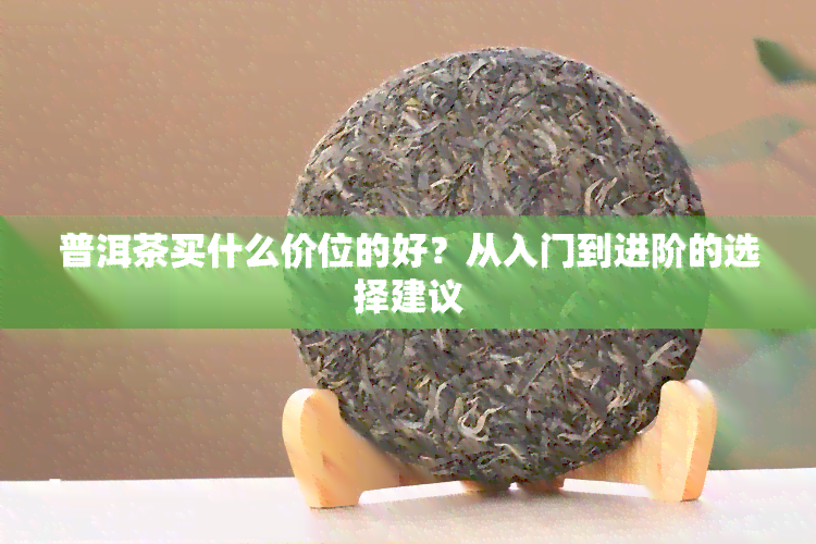 普洱茶买什么价位的好？从入门到进阶的选择建议