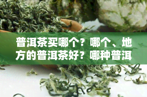 普洱茶买哪个？哪个、地方的普洱茶好？哪种普洱茶值得购买？