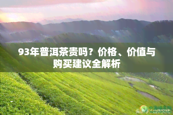 93年普洱茶贵吗？价格、价值与购买建议全解析