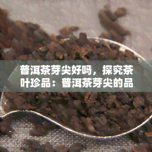 普洱茶芽尖好吗，探究茶叶珍品：普洱茶芽尖的品质与价值