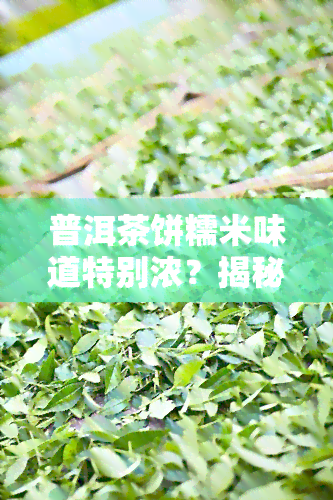 普洱茶饼糯米味道特别浓？揭秘其原因与制作方法