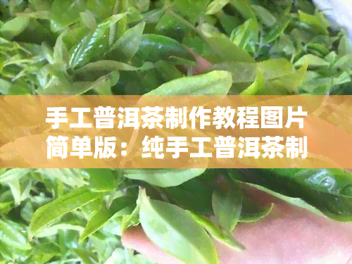 手工普洱茶制作教程图片简单版：纯手工普洱茶制作方法与选购指南