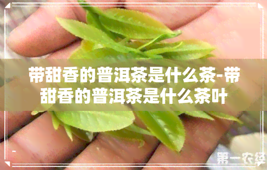 带甜香的普洱茶是什么茶-带甜香的普洱茶是什么茶叶