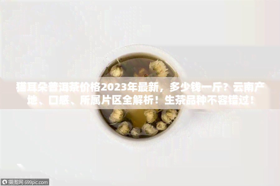 猫耳朵普洱茶价格2023年最新，多少钱一斤？云南产地、口感、所属片区全解析！生茶品种不容错过！