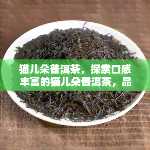 猫儿朵普洱茶，探索口感丰富的猫儿朵普洱茶，品味云南独特的茶文化