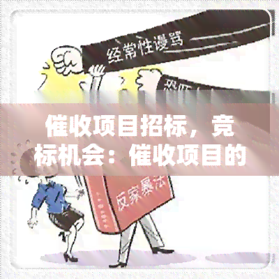 项目招标，竞标机会：项目的招标公告