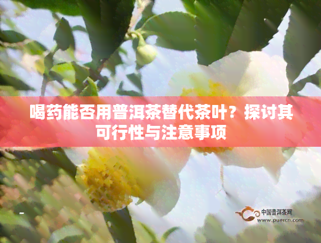 喝能否用普洱茶替代茶叶？探讨其可行性与注意事项