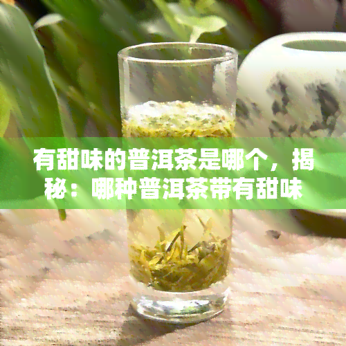 有甜味的普洱茶是哪个，揭秘：哪种普洱茶带有甜味？