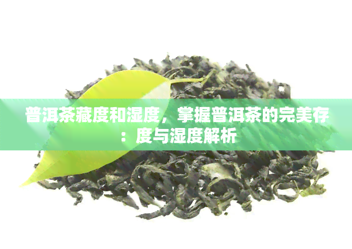 普洱茶藏度和湿度，掌握普洱茶的完美存：度与湿度解析