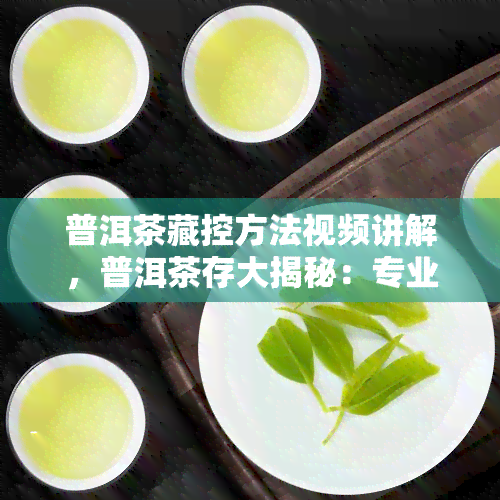 普洱茶藏控方法视频讲解，普洱茶存大揭秘：专业控方法视频讲解！