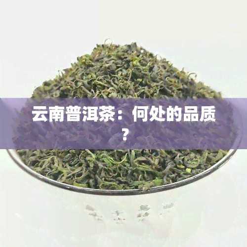 云南普洱茶：何处的品质？