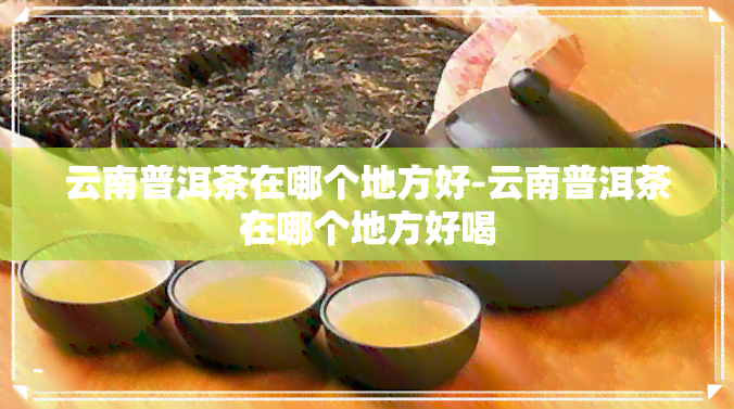 云南普洱茶在哪个地方好-云南普洱茶在哪个地方好喝