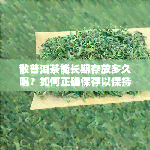 散普洱茶能长期存放多久喝？如何正确保存以保持口感？