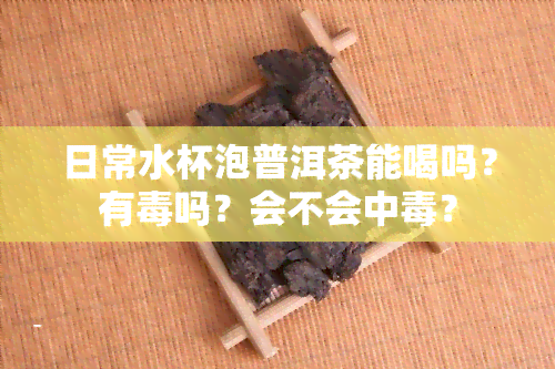 日常水杯泡普洱茶能喝吗？有吗？会不会中？